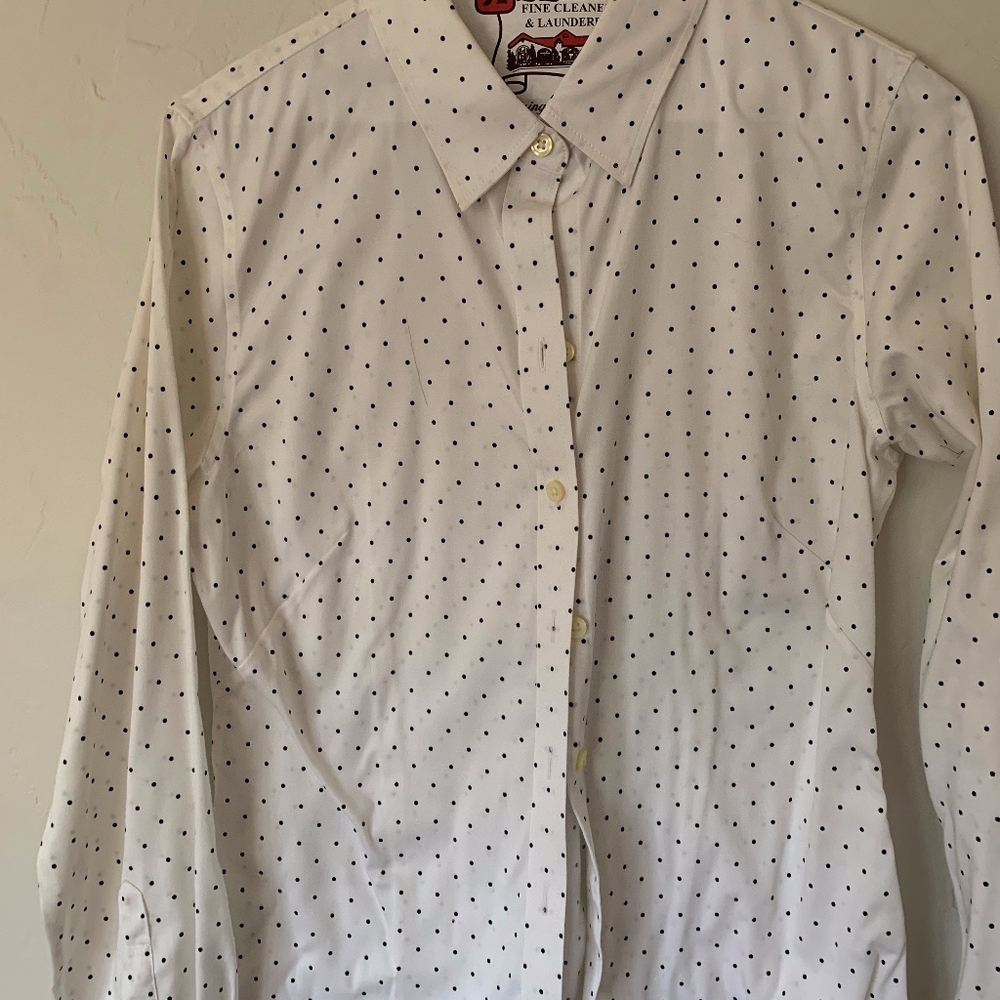 Banana Republic Factory Non Iron Shirt 8